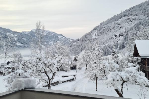 Winter-Aussicht von Terrasse IbexApart