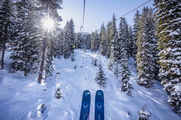 Winter, verschneite Winterlandschaft, Ski, Österreich